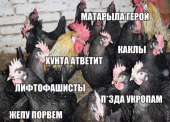 640x463