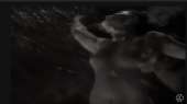 1202x672