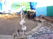 480x360