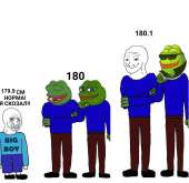 1262x1228