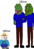 565x807