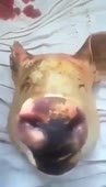 360x626
