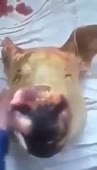 360x626