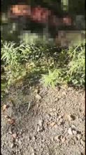 360x640