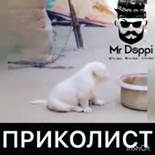 360x360
