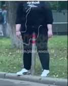 284x360
