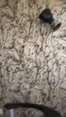 204x360