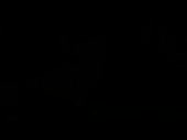 320x240