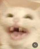 370x452