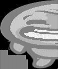 116x137