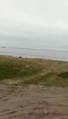 206x360