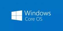 620x310