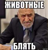 592x617