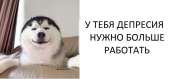 1280x598