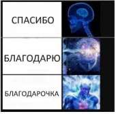 226x223