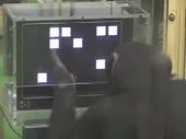 320x240