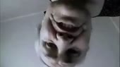 640x360