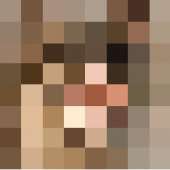 250x250