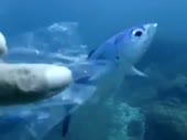480x360