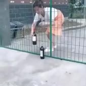 288x288