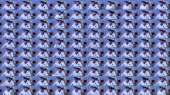 1500x840
