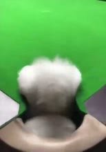 336x480