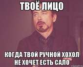 500x404