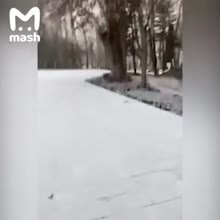 360x360