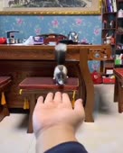 460x574