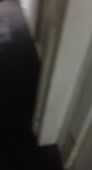 262x480