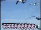 490x360