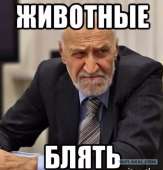 592x617