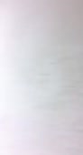 262x480
