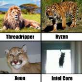 1000x1000
