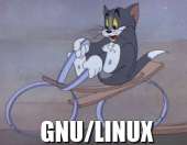621x485