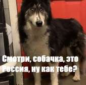 828x819