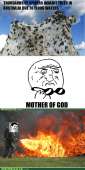 500x999