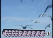 490x360