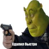 500x498