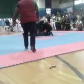 360x360