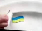 259x194