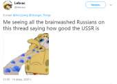 599x433