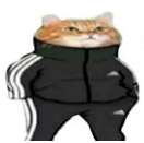 132x131