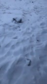 408x720