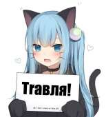 720x791