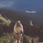 360x360