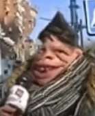 340x415