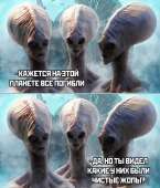 926x1080