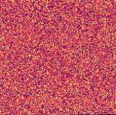 875x865