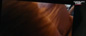 856x360